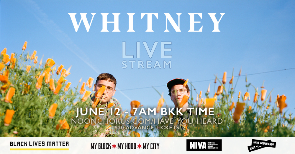 whitney livestream