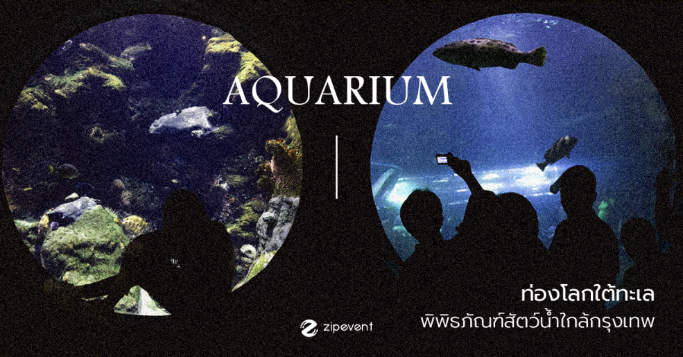 อควาเรียม