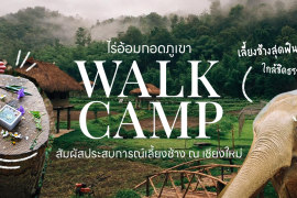 Walk Camp
