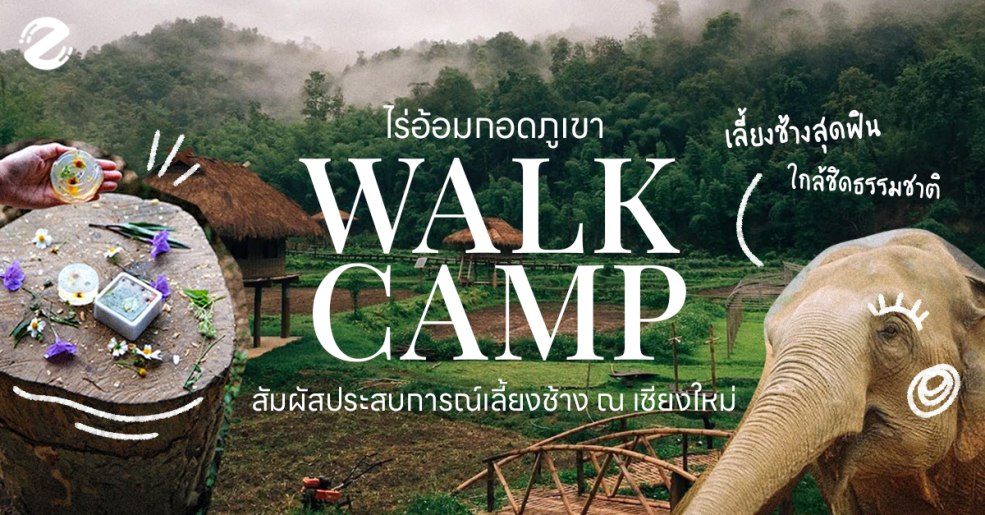 Walk Camp