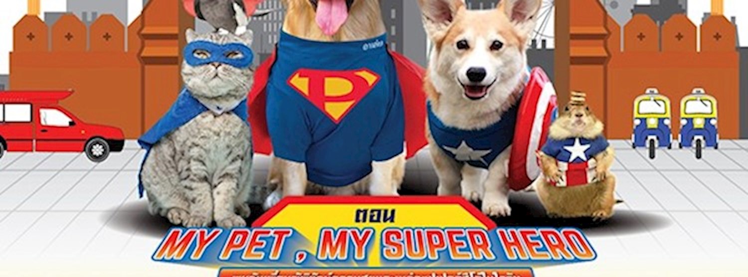 Chiangmai Pet Fair 2019 ตอน MY PET , MY SUPER HERO Zipevent