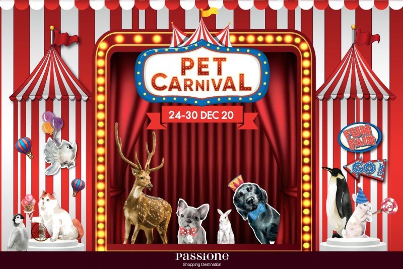 PET CARNIVAL Zipevent Inspiration Everywhere