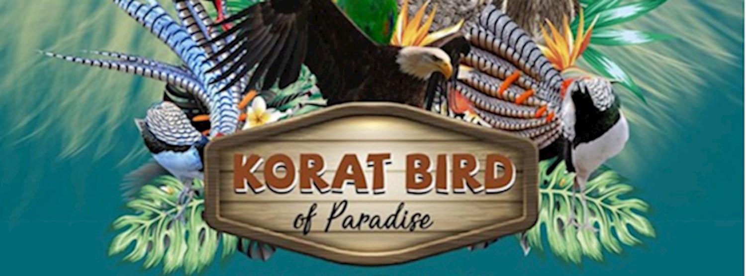 Korat Bird Of Paradise 2019 Zipevent