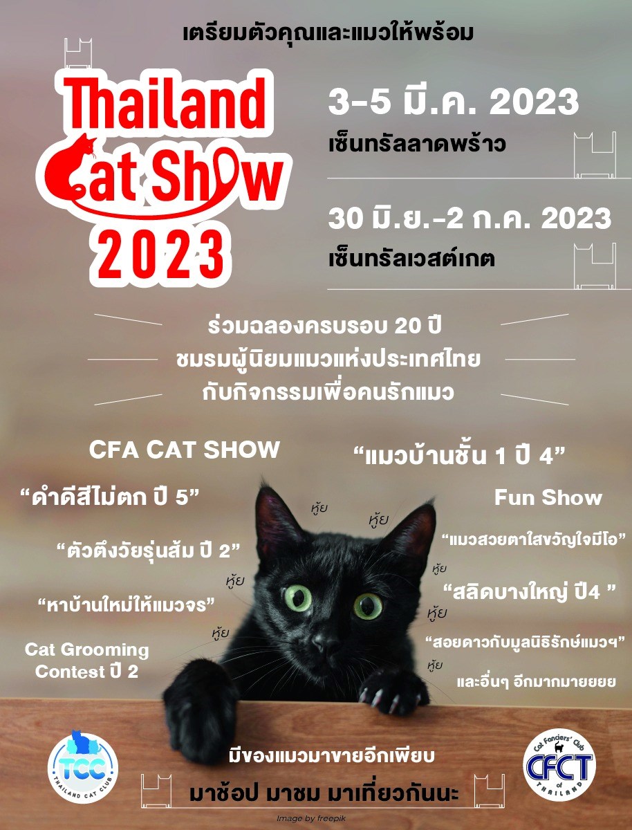 Thailand Cat Show 2023 Zipevent Inspiration Everywhere