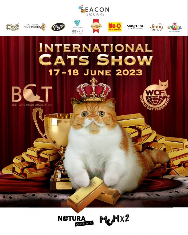 International Cats Show Zipevent Inspiration Everywhere