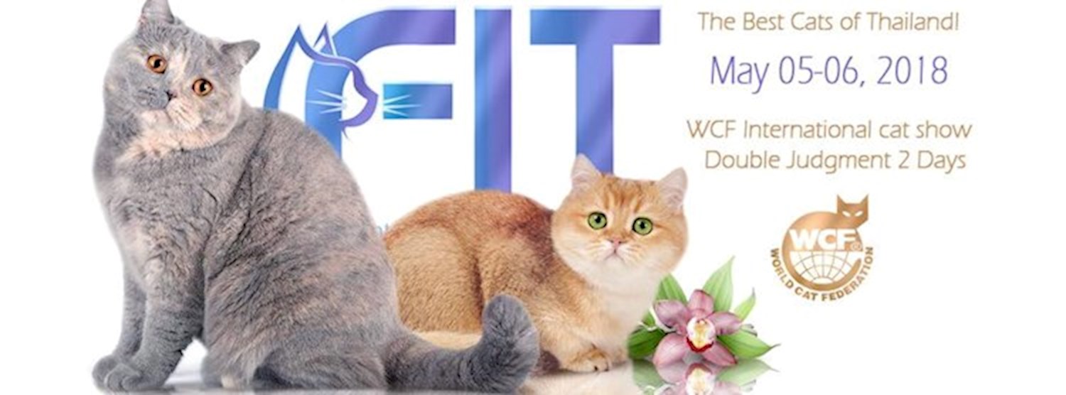 The Best Cats of Thailand" WCF International Cat Show Zipevent