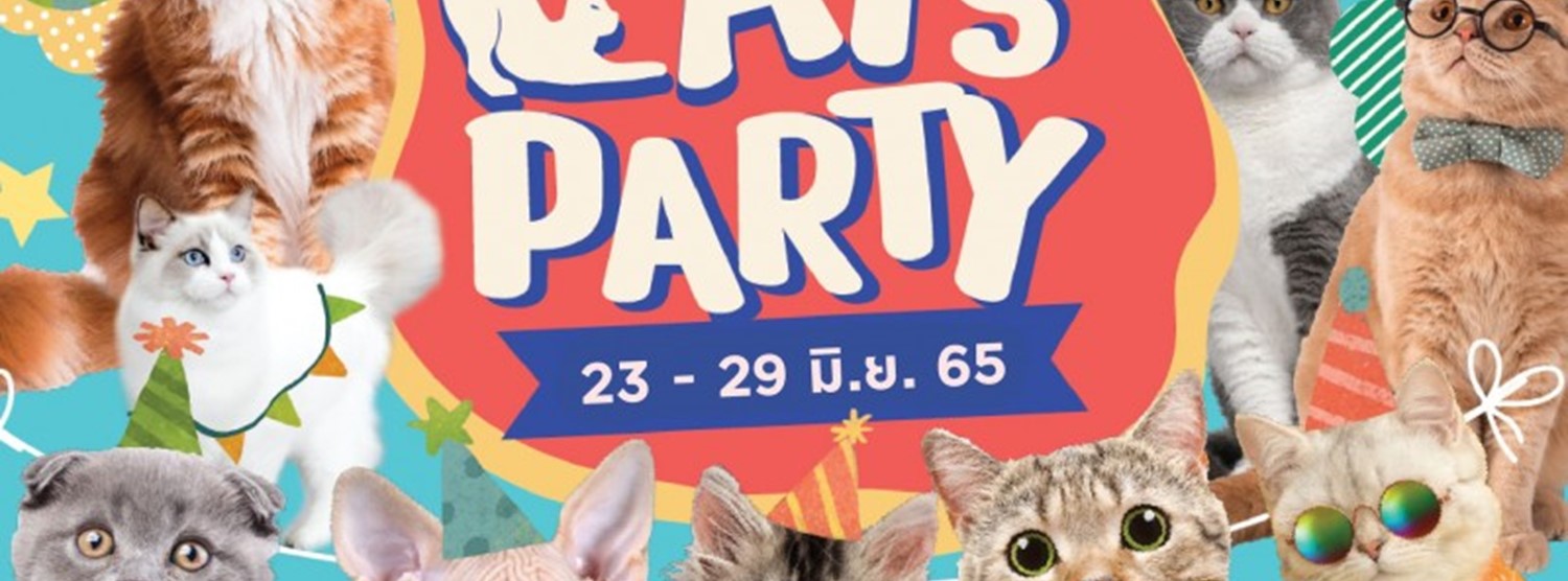 CATS’ PARTY @บางแค Zipevent