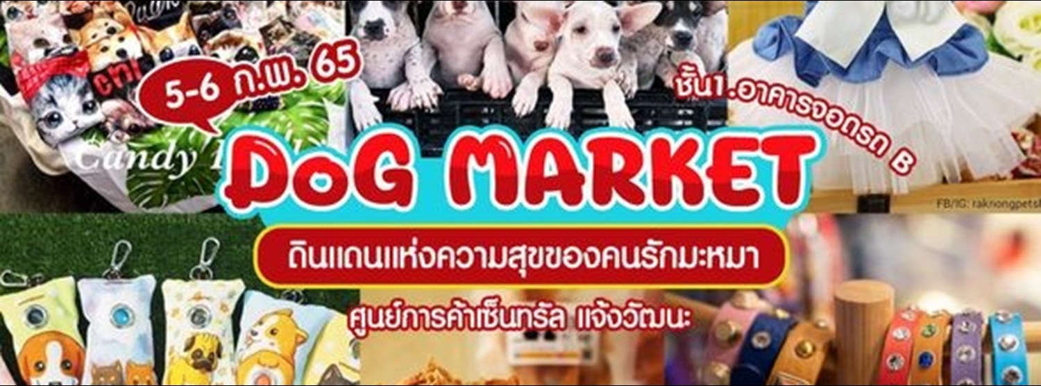DOG MARKET Zipevent Inspiration Everywhere