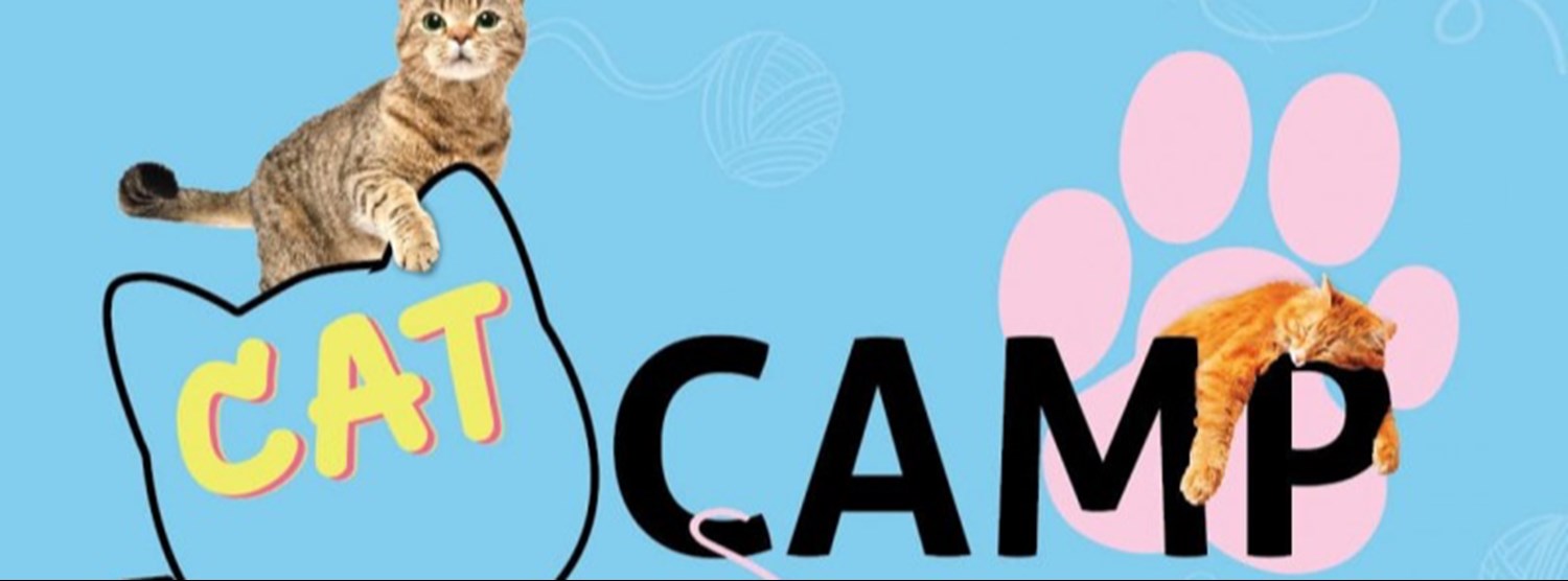 CAT CAMP Zipevent Inspiration Everywhere