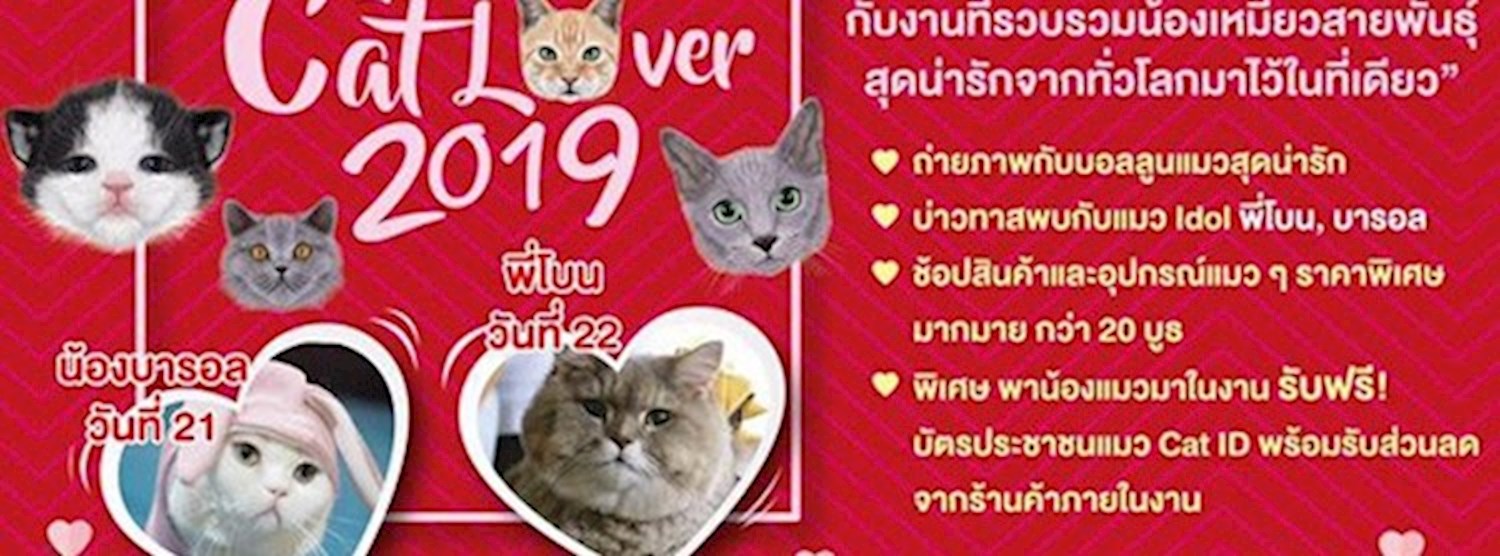 Cat Lover 2019 Zipevent