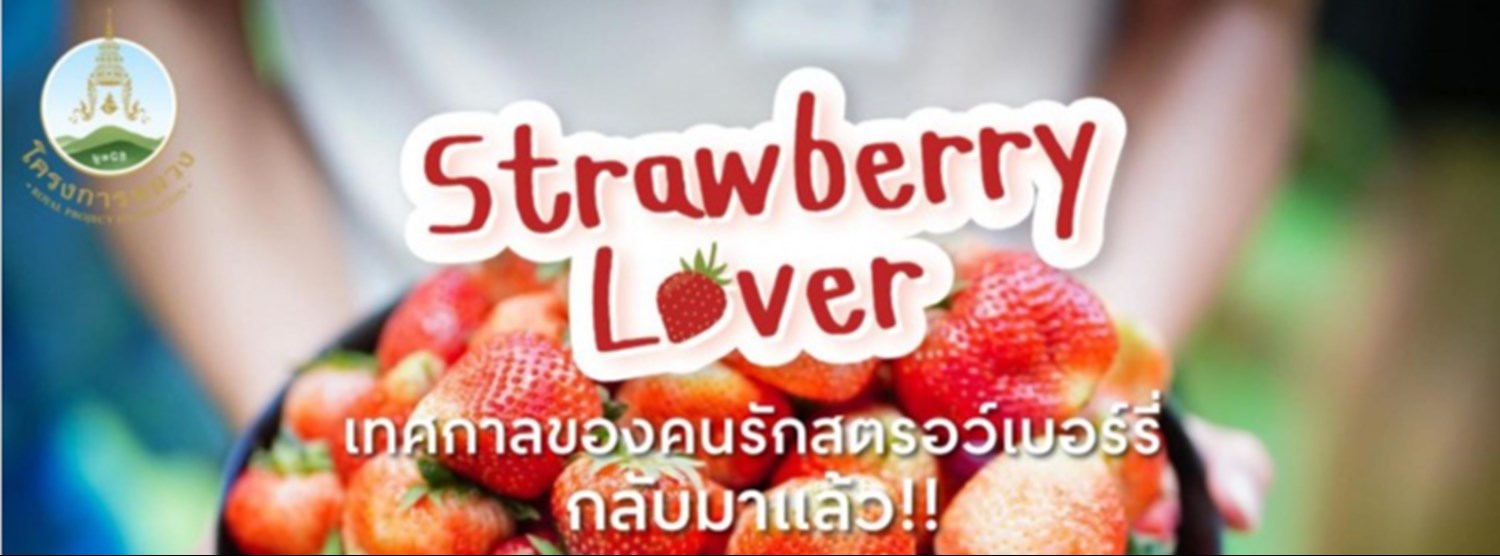 มหัศจรรย์ผลิตภัณฑ์โครงการหลวง Strawberry Lover Zipevent