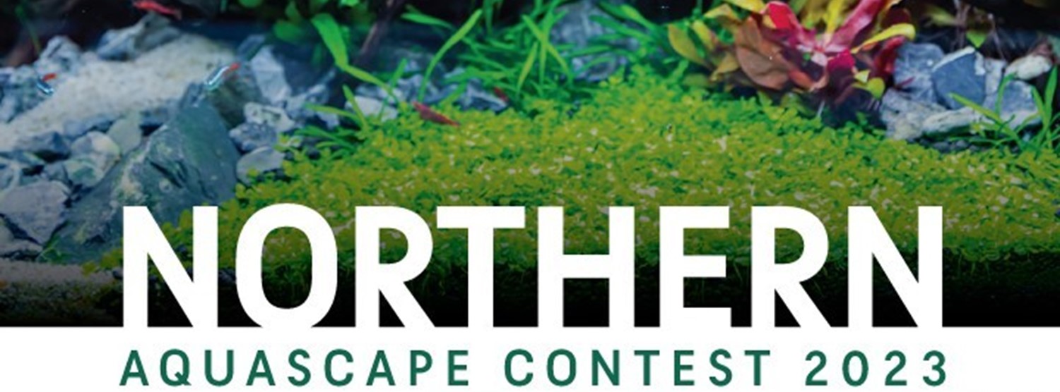 Northern Aquascape Contest 2023 Zipevent