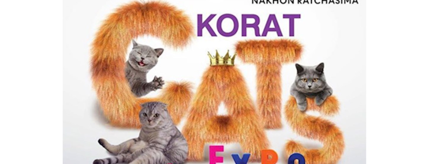 KORAT CAT EXPO Zipevent